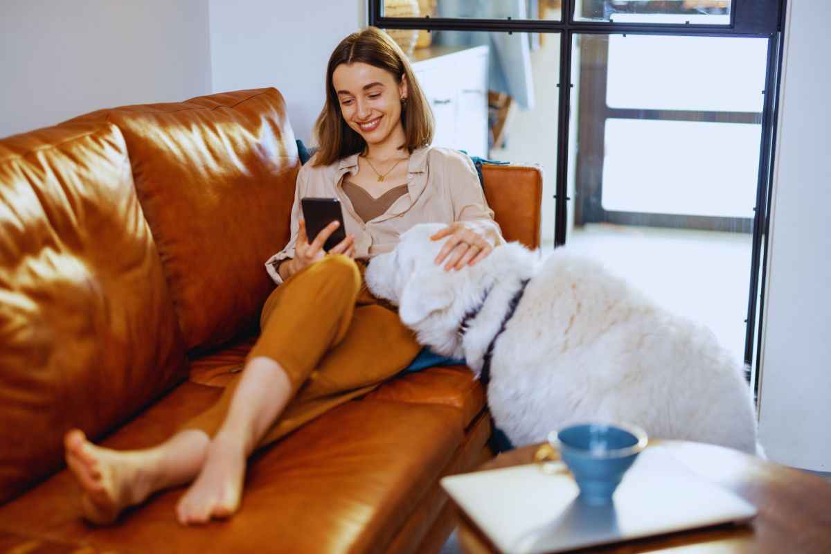 Cane che chiede coccole alla padrona