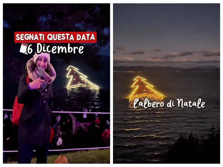 screen del video che mostra l'albero sul lago Trasimeno