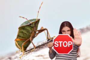 una cimice ed una ragazza che tiene in mano uno stop