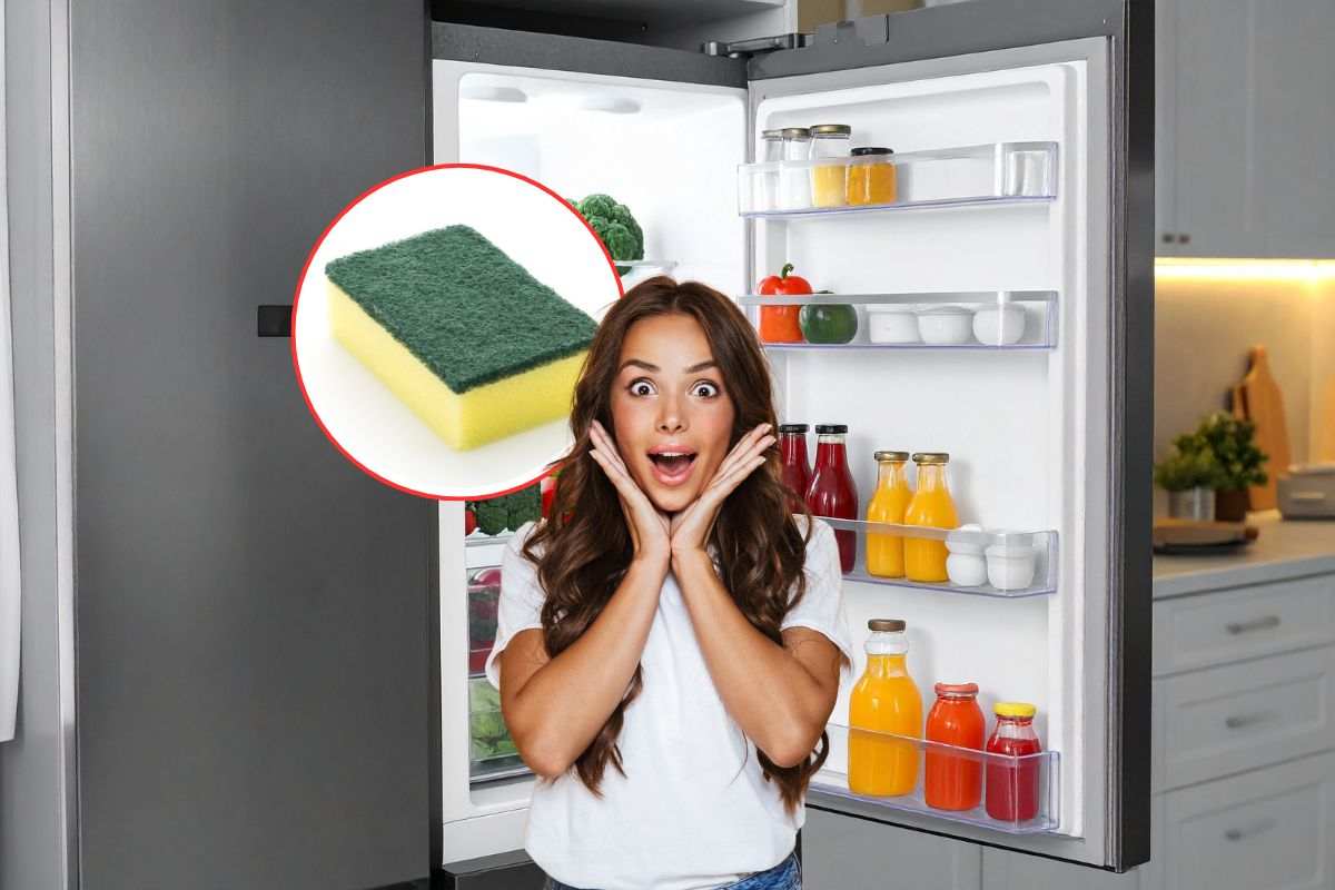 donna stupita, spugna per piatti e frigo