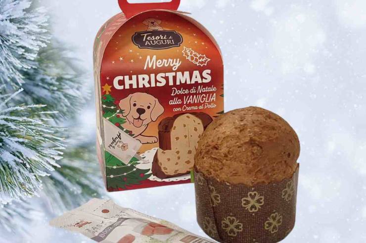 Panettone per cani