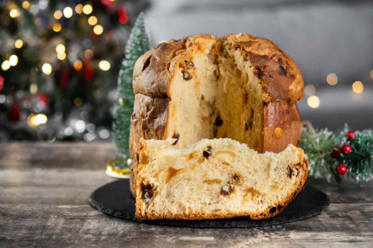 panettone