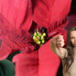 stella di natale rossa e donna con pollice in giù